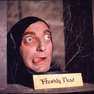 Marty Feldman in Young Frankenstein (1974)
