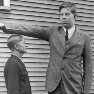 Robert Wadlow